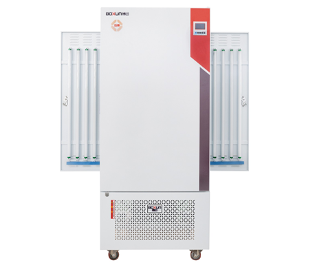 BSG-250����������