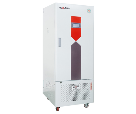 BXL-250����������