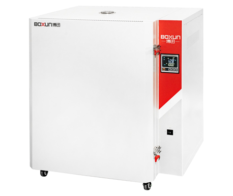 BGG-38高温鼓风干燥箱 BGG-38高温鼓风干燥箱